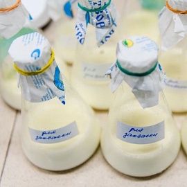 Отечественное производство заквасок для молочного сектора 