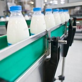 Три модели развития молочных предприятий России