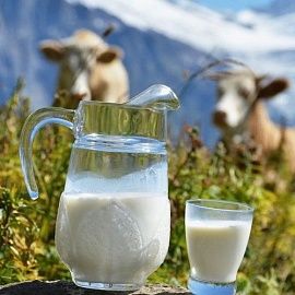 Сравнительный анализ содержания кальция в молоке различной жирности и степени обработки
